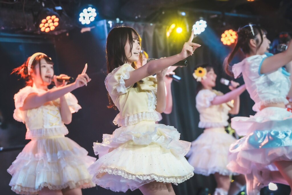 ライブ（2024年8月）